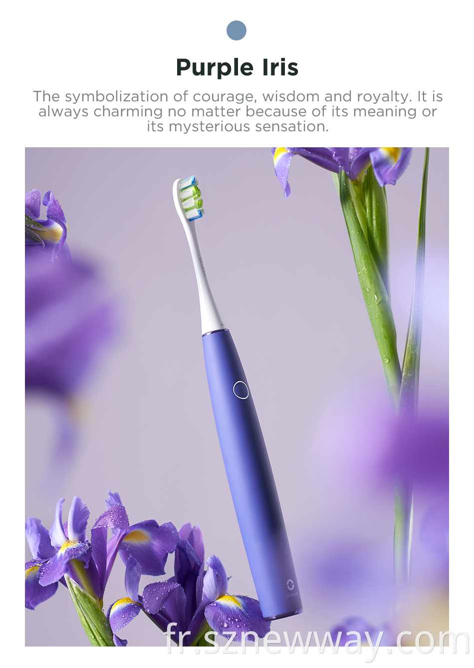 Oclean Air 2 Smart Toothbrush